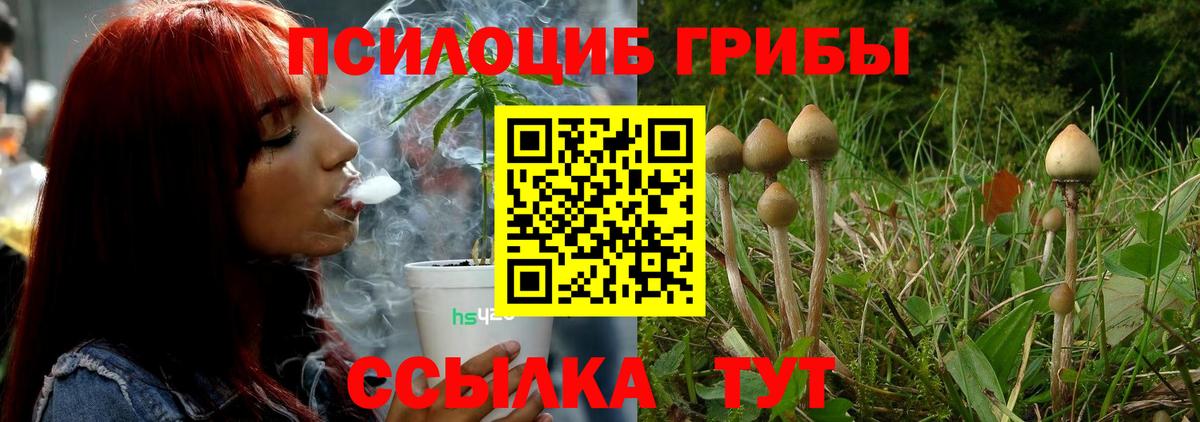 Минусинск  Галлюциногенные грибы прущие грибы  Вход с VPN 